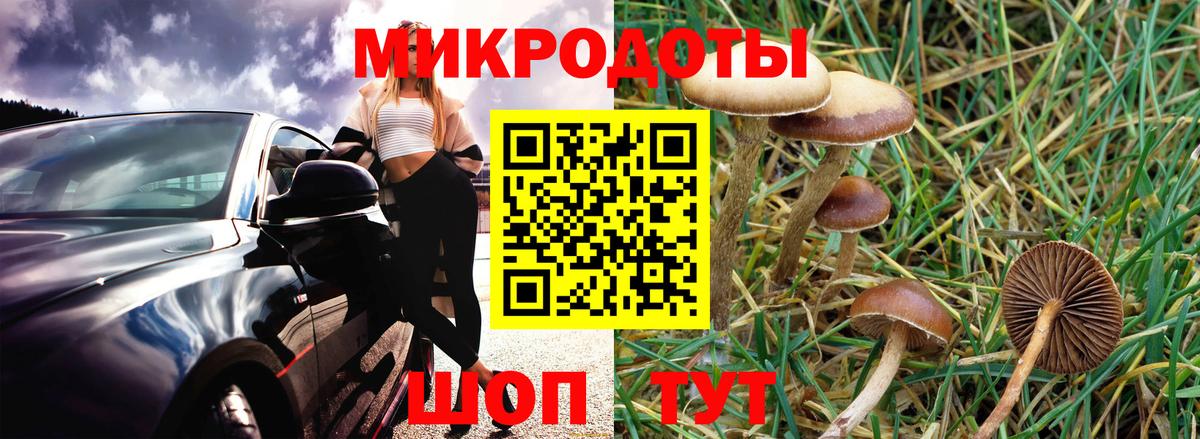 Псилоцибиновые грибы мухоморы Мирный