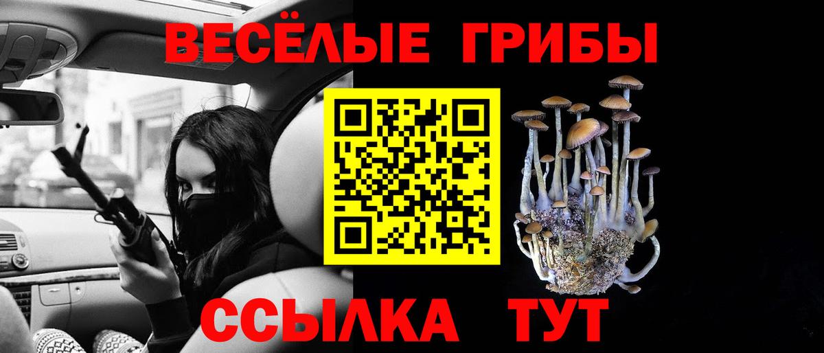 Мирный  Псилоцибиновые грибы ЛСД  Вход с VPN 
